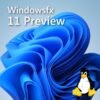 Windowsfx 11 Preview 64 bits multi-idiomas (distro Linux)