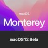macOS 12 Monterey (beta 21A5248 ) - arquivo ISO para criar máquina virtual