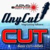 Anycut 4.0.3.0 (instalador original)